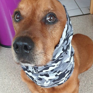 Könnte beinhalten: Ein brauner Hund, der ein grau-schwarzes Tarnbandana trägt. Der Hund hat braunes Fell und eine schwarze Nase.