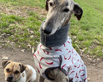 Galgo sweater