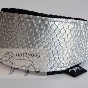 Könnte beinhalten: Ein silbernes Hundehalsband mit Schlangenhautmuster und schwarzem Innenfutter. Das Halsband hat ein kleines schwarzes Etikett mit einer Hundesilhouette und dem Text "hottydog".