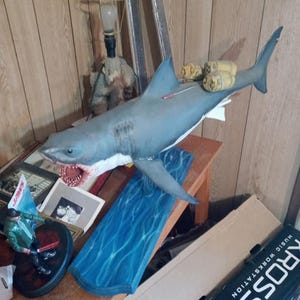 JAWS--Shark City Ozark Bruce BARRELS