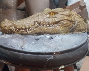 Resin Crocodile Head: Aquarium or Tabletop Display (READY TO SHIP)
