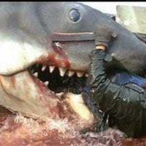 May include: A scene from the movie "Jaws" shows a person struggling with a great white shark. The shark's mouth is open, revealing sharp teeth. The person is in the water, wearing a dark jacket and holding onto the shark. Blood is visible in the water.