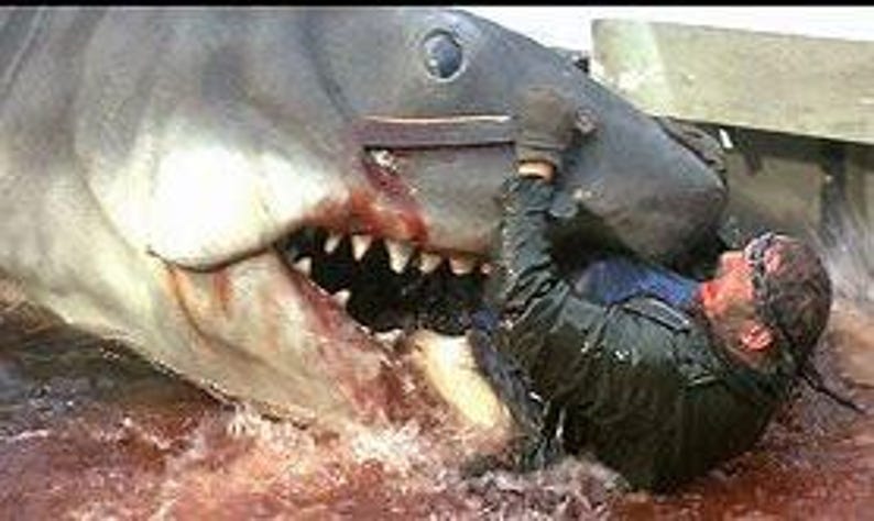 May include: A scene from the movie "Jaws" shows a person struggling with a great white shark. The shark's mouth is open, revealing sharp teeth. The person is in the water, wearing a dark jacket and holding onto the shark. Blood is visible in the water.