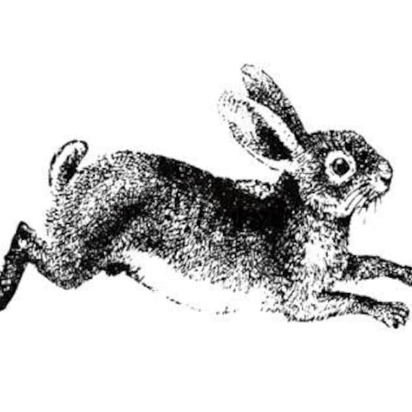 Stempelplatte laufendes Kaninchen