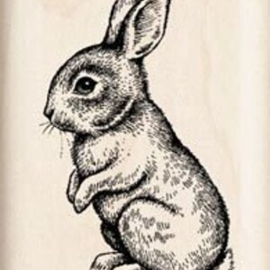 Wooden Stamp young rabbit dwarf Rabbit image 2
