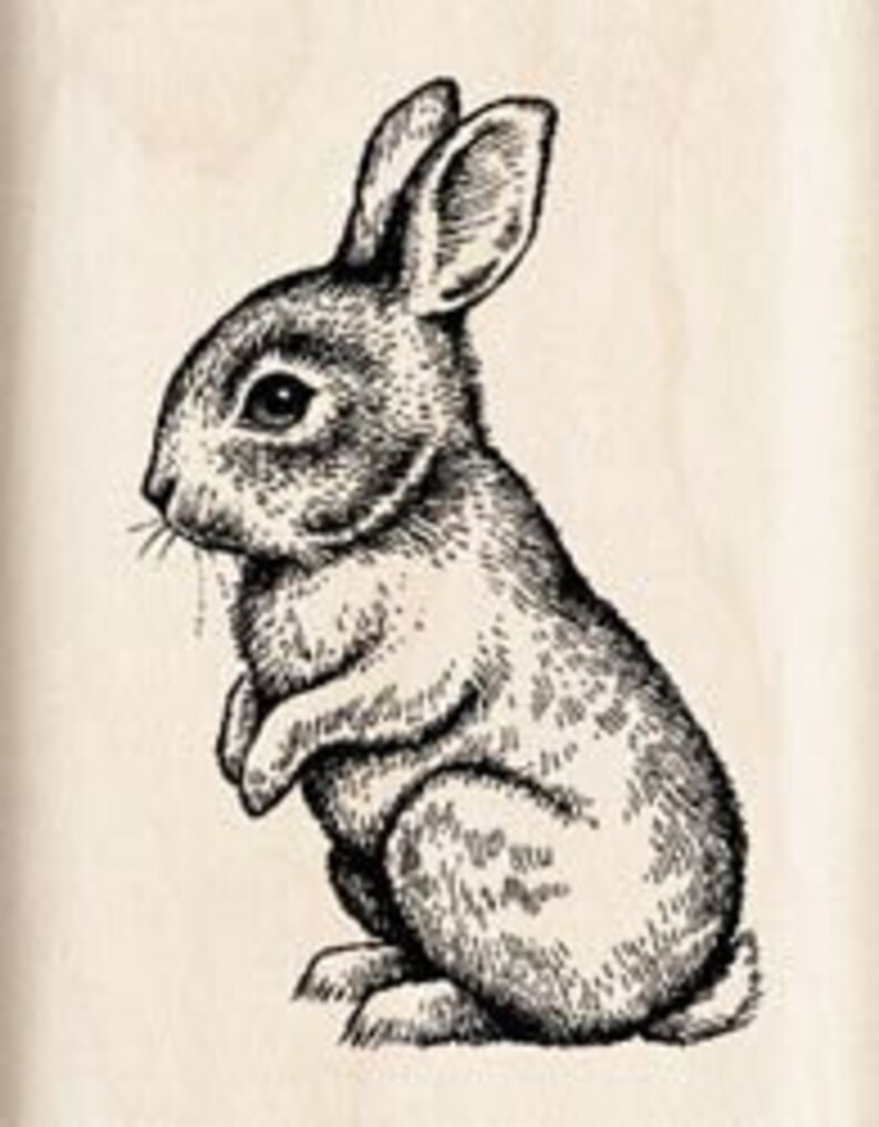 Wooden Stamp young rabbit dwarf Rabbit image 2