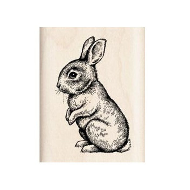 Wooden Stamp young rabbit dwarf Rabbit image 1
