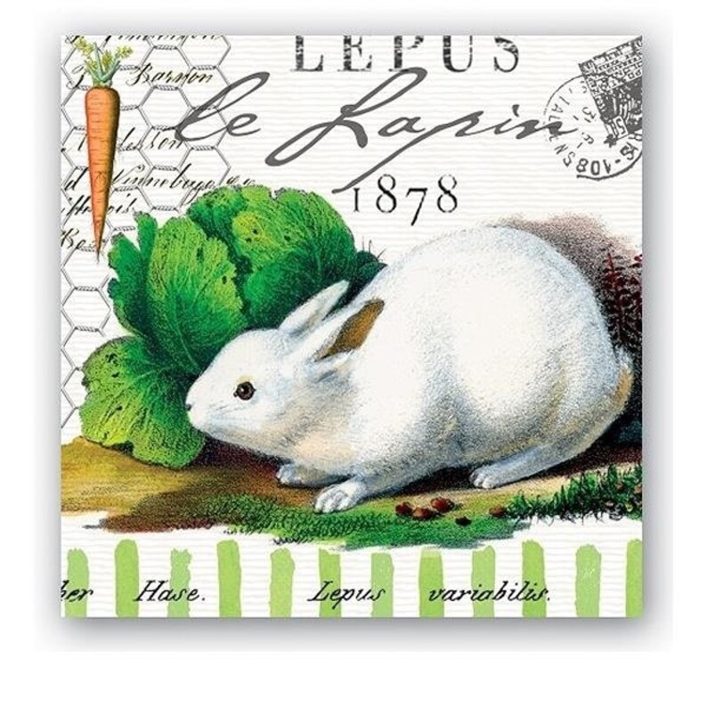 40 napkins with white and brown rabbit in garden green motif image 3