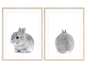 Stempel « KANINCHEN » Adressenstempel Kaninchenzüchter Kaninchenzucht Hase Tiere