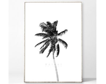 PALM 02 Art Print Poster Picture Beach Palm Nature Tropical Summer Plant Beach Travel