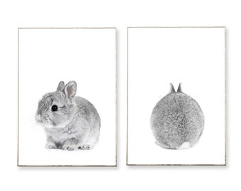 2er Bilder Poster Set: BABY RABBIT -ungerahmt- Kunstdruck Bild Hase Kaninchen Tier Tierkind Kinderzimmer