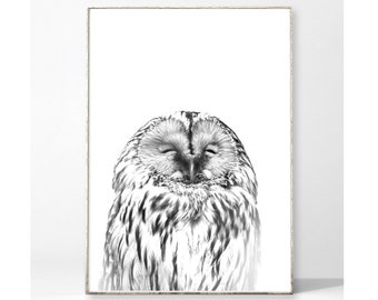 HAPPY OWL Art Print Poster Image Owl Owl Bird Happy Happiness Cozy Animal Scandinavian Nordic Forest Feathers