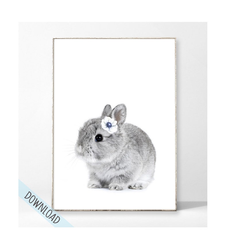 FLOWER BUNNY Digital Art Printable Poster baby animal bunny rabbit peek a boo nursery print Instant Download Wall Art