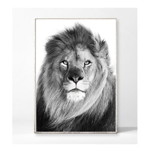 LION PORTRAIT Kunstdruck Poster Bild Löwe Raubkatze Tier Portrait elegant