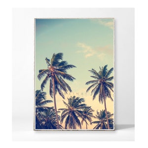 Palm poster beach