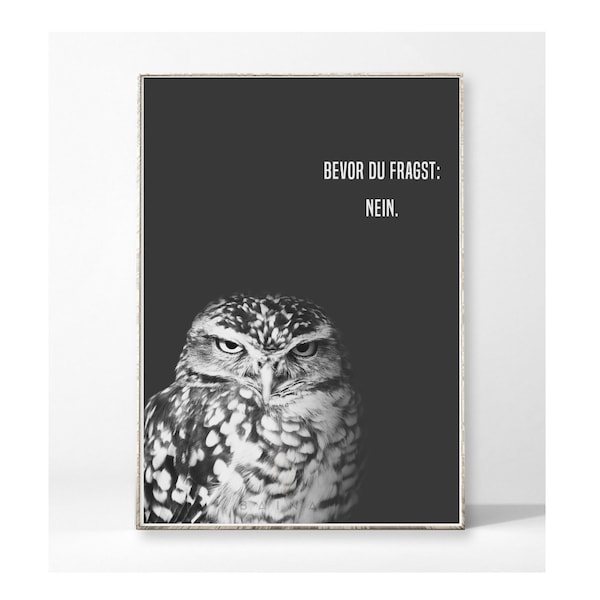 GRUMPY OWL: NEIN Kunstdruck Poster Bild Eule Vogel Typografie Spruch Sarkasmus Sprüche skandinavisch nordisch