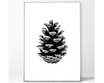 PINECONE art print poster picture pine cones nature plant Scandinavian Nordic