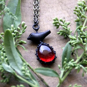 May include: A black bird pendant necklace with a red gemstone. The necklace is on a silver chain and is surrounded by green foliage.