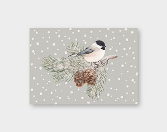 Postkarte "Sumpfmeise" A6 / Vogel / Tannenzweig / Zapfen / Frohe Weihnachten / Winter / Recyclingkarton / Klimaneutral