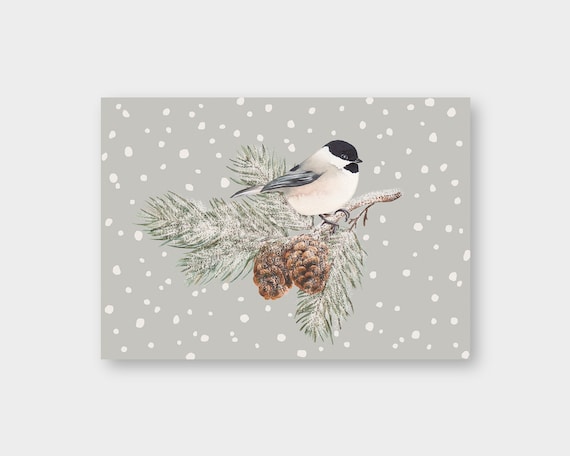 Postkarte "Sumpfmeise" DIN A6 / PK_10 / Vogel / Tannenzweig / Zapfen / Frohe Weihnachten / Winter / Recyclingkarton / Klimaneutral