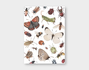 Postkarte "Insekten" A6 / Recyclingkarton / Klimaneutraler Druck / Schmetterling / Marienkäfer / Hummel / Geburtstag / Einfach nur so