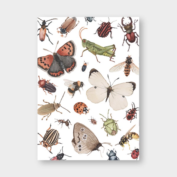 Postkarte "Insekten" A6 / Recyclingkarton / Klimaneutraler Druck / Schmetterling / Marienkäfer / Hummel / Geburtstag / Einfach nur so