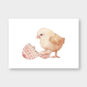 Postkarte "Küken" DIN A6 / PK_23 / Frohe Ostern / Frühling / Osterhase / Liebe Grüße / Ostergruß