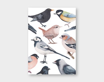 Postcard "Bird Greetings" Spring / Bird / Greeting Card / Love Greetings / Print / Recycled Paper