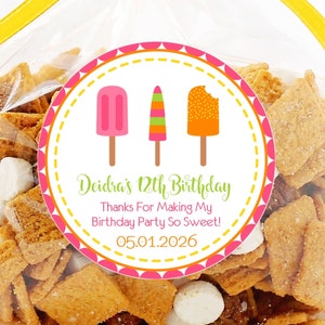 Popsicle Birthday Party Stickers or Favor Tags, Summer Popsicle Birthday Decorations, Colorful Popsicle Birthday Party Favor Tags