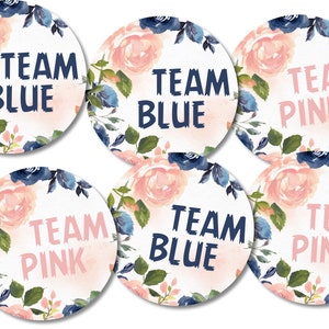 Gender Reveal Stickers, Team Pink, Team Blue Gender Reveal Party Stickers