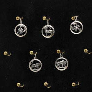 Zodiac sign pendant 835 silver cancer, scorpio, leo, taurus, capricorn, aries round small child gift