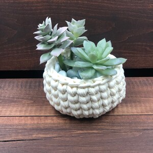 crochet flower pots pattern: PDF file and video tutorial includes two sizes, basic and mini. crochet pattern, crochet flower pot, crochet image 2