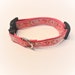 Martina reviewed Dog collar Gr. S for puppies and small dogs