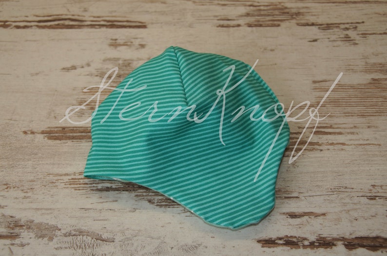 Aviator hat /' asterisk /' turning cap with ear protection