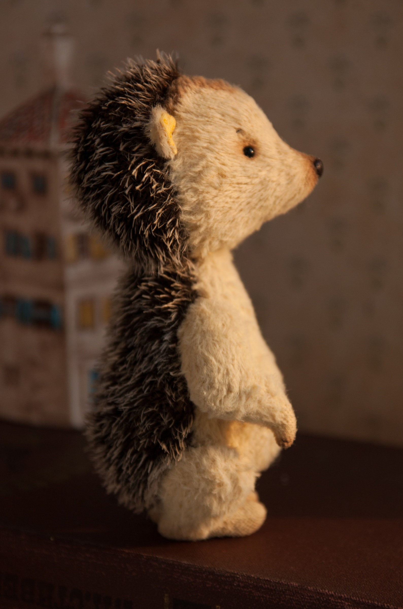hedgehog with teddy bear