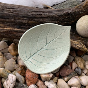 Puede incluir: Un plato de cerámica de color verde claro en forma de hoja con un patrón de nervaduras en relieve. El plato está colocado sobre un lecho de pequeñas piedras de colores.