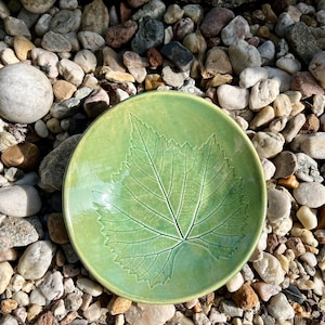 Puede incluir: Un cuenco redondo de cerámica con un esmalte verde claro brillante que presenta una impresión detallada y en relieve de una hoja de parra en el centro. La superficie del cuenco muestra un sutil acabado craquelado en el esmalte.