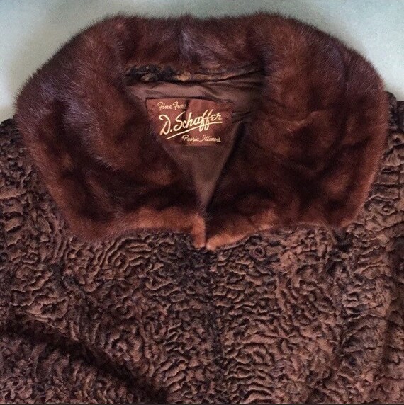 Vintage Elsa Schiaparelli Persian Lamb Mink Colla… - image 4