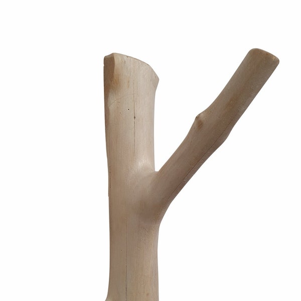 Garderoben Haken Mangosteen Holz natur | Baumstamm Garderobe ca. 28 cm | Baum Garderobenhaken aus natur Holz zur Wandmontage