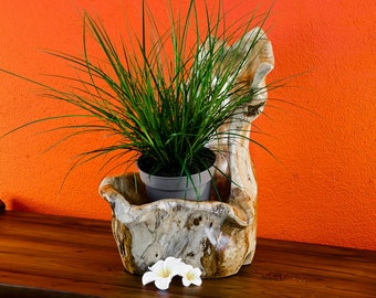 Root wood planter | Flowerpot made of solid wood for orchids