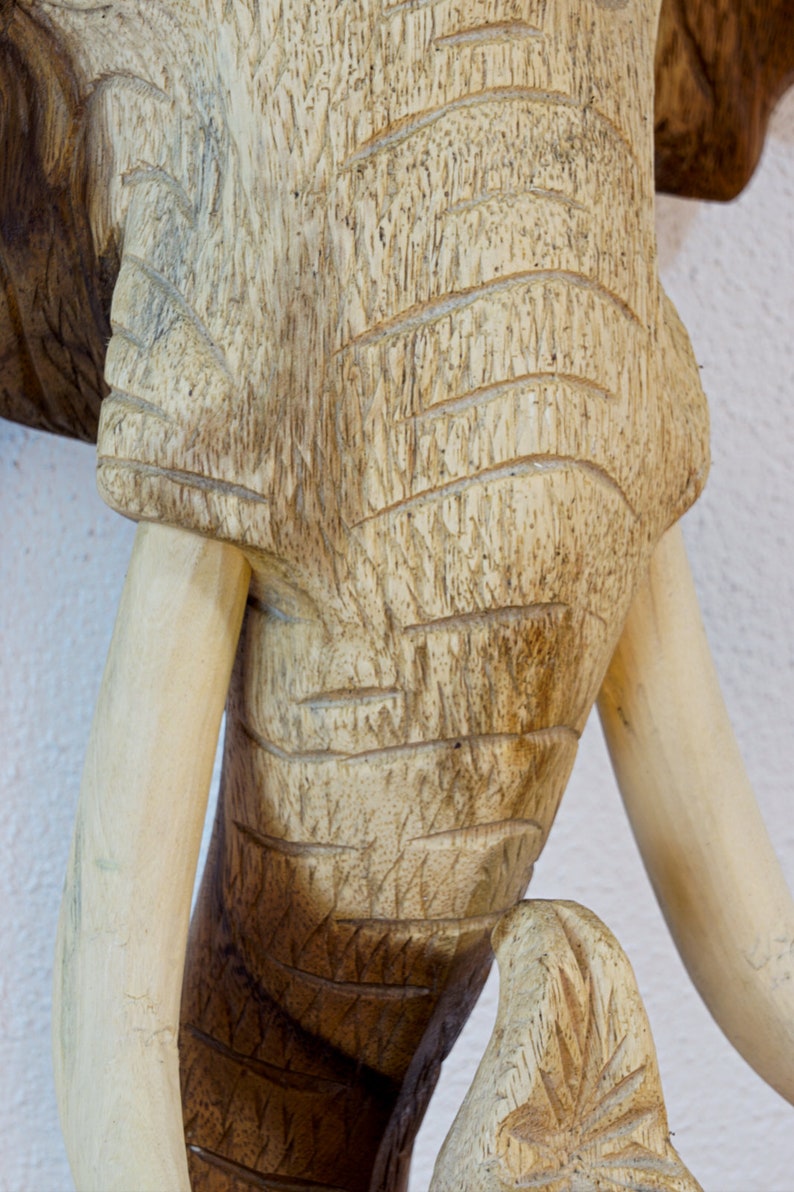 Olifantenkop Gesneden Uit Massief Hout Houten Olifant Als Etsy Nederland