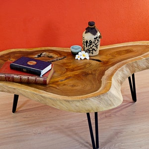 Huge solid wood coffee table from a Suar tree slice | ca 130-180 cm XXL  living room wood table with natural tree edge and metal legs