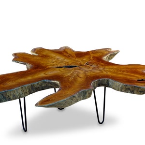 Table basse en ronce de bois tranche d'arbre bois massif LUHU 50 à 85 cm image 5