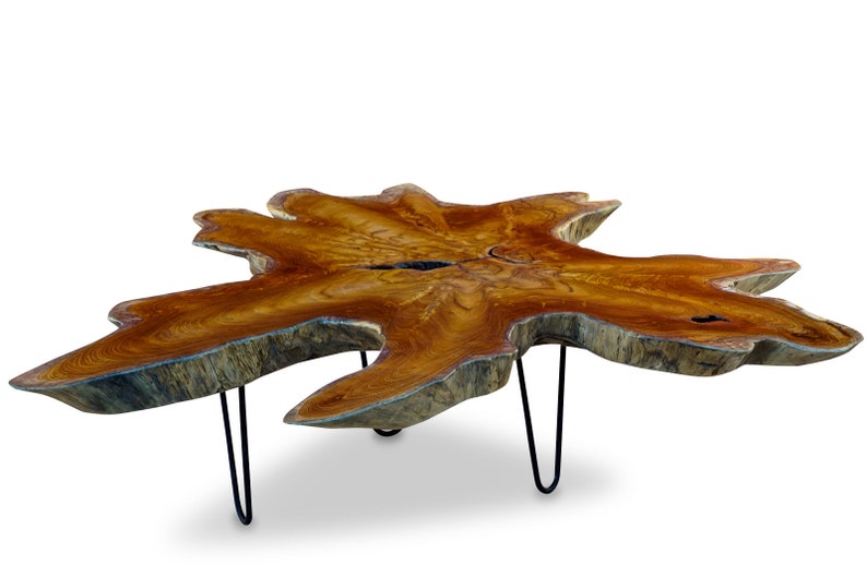 Table basse en ronce de bois tranche d'arbre bois massif LUHU 50 à 85 cm image 5