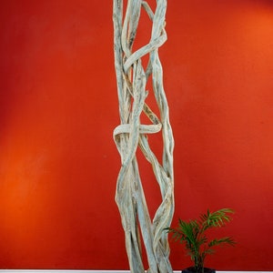 Liana wood decorative sculpture 180-200 cm Exotic driftwood sculpture for living room, bedroom or hallway with washed out liana wood image 4