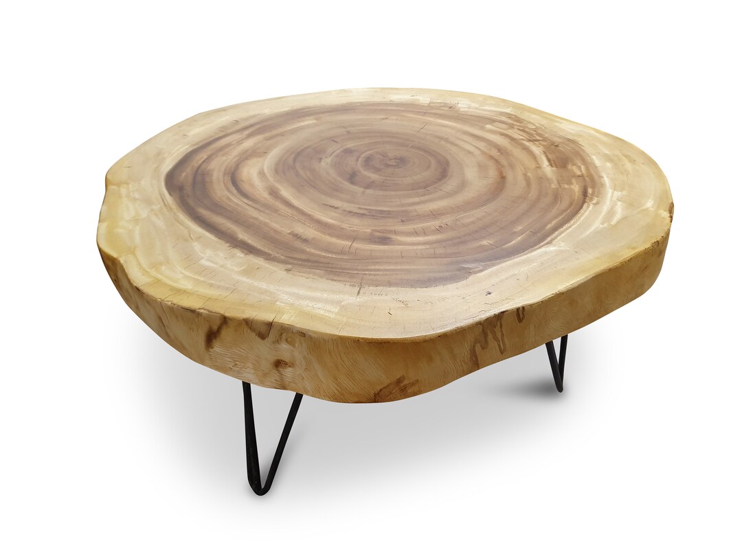 Huge Solid Wood Coffee Table From a Suar Tree Slice Ca 80 Cm XXL Living