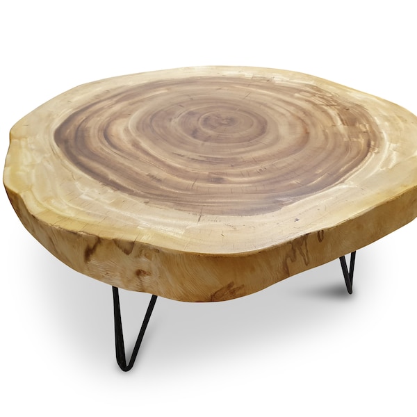 Großer Massivholz Baumscheibe Couchtisch aus einer Suar Holz | ca. 70-80 cm Wohnzimmer Holz Tisch mit Natur Baumkante und Metall Beinen