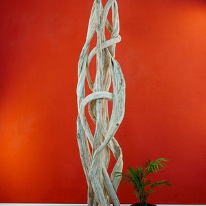 Liana wood decorative sculpture 180-200 cm Exotic driftwood sculpture for living room, bedroom or hallway with washed out liana wood image 3