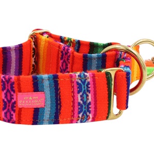 May include: A colorful dog collar with a woven design in shades of orange, blue, purple, and green. The collar has gold-colored metal hardware and a small pink tag with text. The collar is designed for a dog.