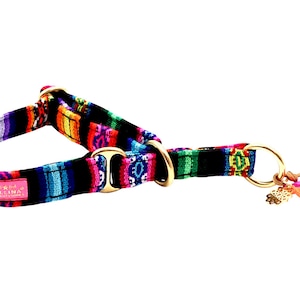 Op de afbeelding: Een kleurrijke hondenhalsband met een geweven patroon in blauw, rood, geel en groen. De halsband heeft goudkleurige metalen hardware en een bedel met roze en oranje kwastjes. Een roze label met tekst is zichtbaar.